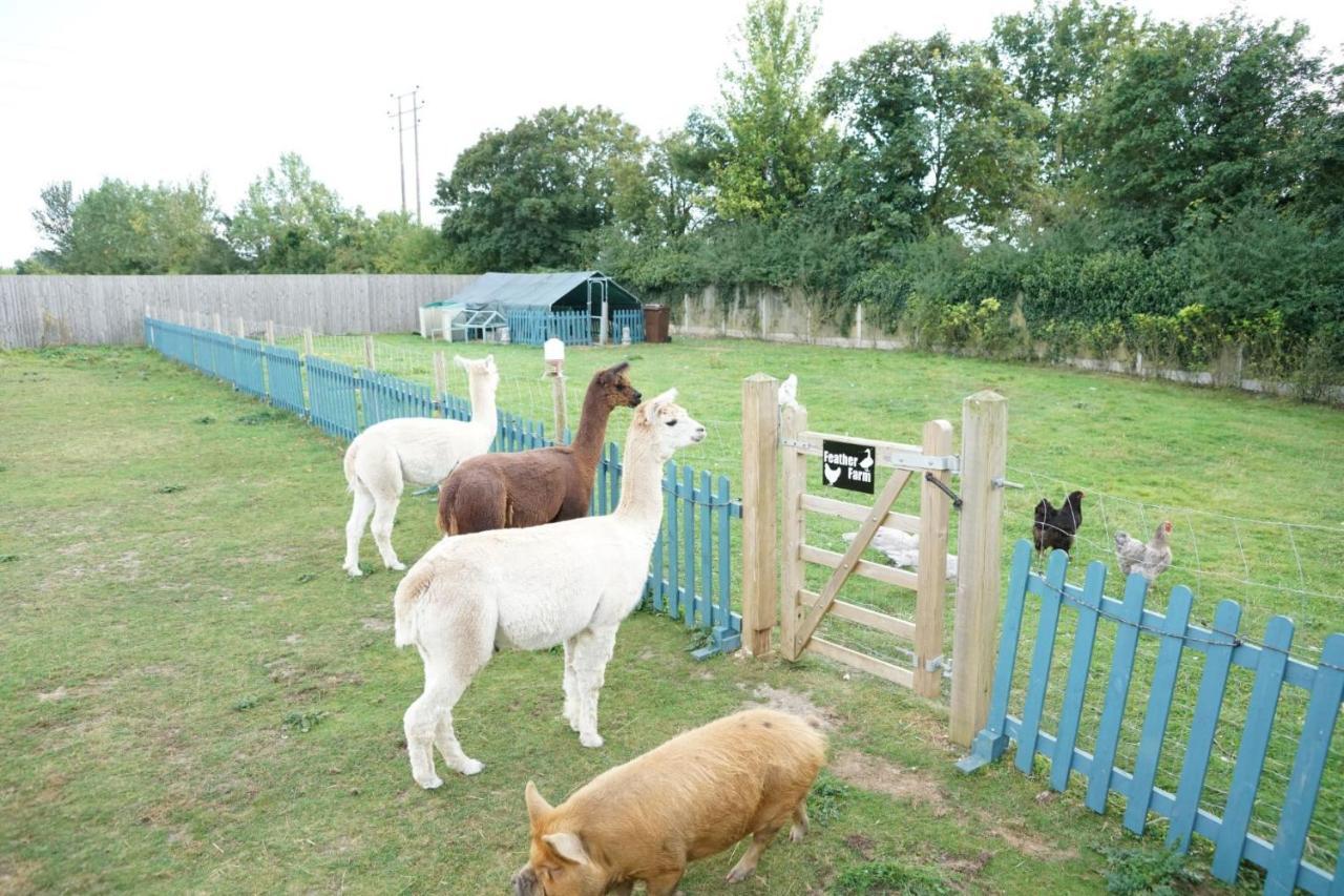 Alpaca Lodge Sittingbourne Zewnętrze zdjęcie